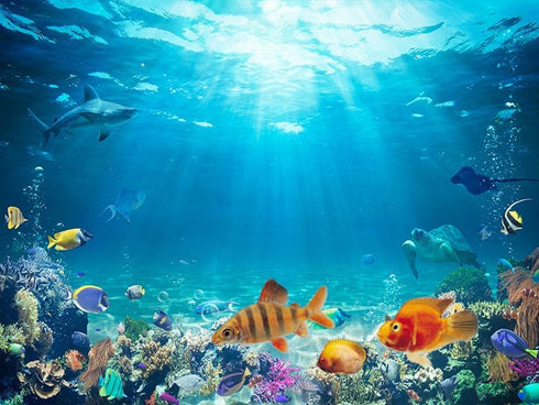 36X24IN Under The Sea Coral Reef Aquarium Background - Terrarium Background with 10 EVA Tape