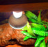 100W Basking Spot Heat Lamp Bulbs, 110V Reptile Mercury Vapor Bulbs for Reptile and Amphibian Use (2 Pack)
