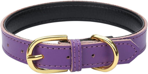 Basic Classic Padded Leather Pet Collars for Cats Puppy Small Medium Dogs (Large (Neck 14.5"-18.5"), Purple)