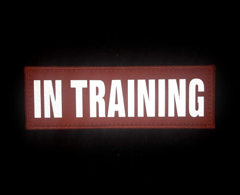 Orange Reflective Dog Patches 2 Pack Service Dog,in Training,DO NOT PET,Patches with Hook and Loop for Vests and Harnesses(in TRAINING, 5x1.5 inch) by JUJUPUPS