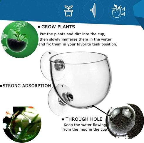 Tfwadmx 4 Pack Aquarium Plant Holder Crystal Glass Plant Pot with Suction Cups for Fish Tank Aquascape