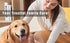 VCM 2 1 Trimmer Dog Grooming Kit in Replaceable Paw Blade Rechargeable Electric Hair Clipper Low Noise Cordless Shaver
