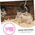 Setup BESPORTBLE Cage for Rabbit Hedgehog Toys Pet Indoor Exercise Fence Hamster Fence Rabbit Cage No Tools Safe Pet