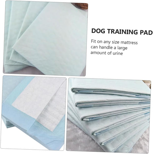 BATHVEVE 10Pcs Disposable Pet Pads Incontinence Pads for Elders Changing Mats Absorbent Multi Use for Diapers Menstrual