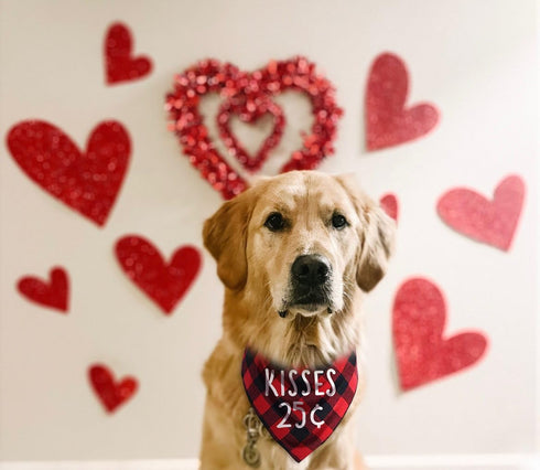 Dog Valentine's Day Scarf, Plaid Pet Bandana Triangle Bibs Kerchief