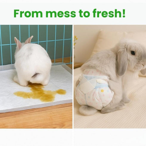 Generic (1 Package/Trial Set, (1 Package/Trial Set, (Recommended 2-5 lbs) Leakproof Rabbit Diapers Disposable Bunny Pet