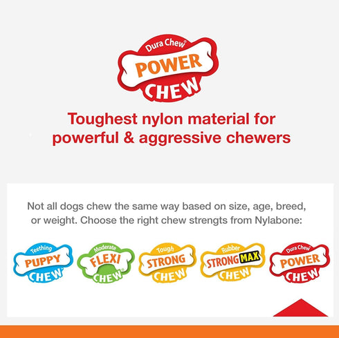 Nylabone 2 Pack of Power Chew Extreme Chewing Braided Bully Stick Alternative Dog Toys, Giant, Made in the USA