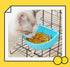 2 Pcs Rabbit Food Water Bowl, Guinea Pig Plastic Feeding Dish, Chinchilla Hanging Portable Bowl (Pink and Blue)