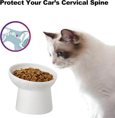 Small Ceramic Raised Cat Bowls, Tilted Elevated Food or Water Bowls, Dishwasher Safe, White