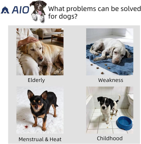 AIO Female(3 Pack), Dog Diapers Small Medium Large Highly Absorbent Wraps Reusable Dog Diapers Female