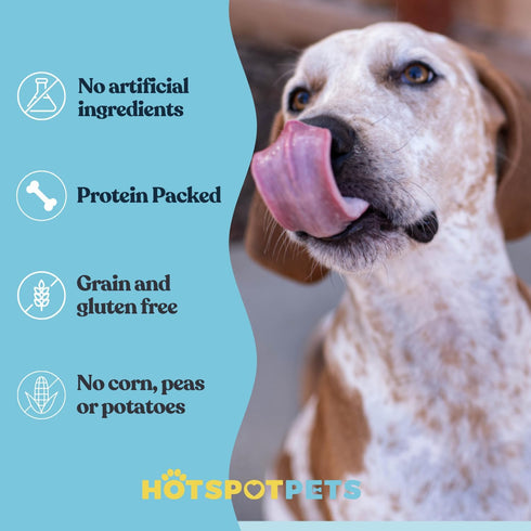 Hotspot Pets Bully Sticks 6 Inch - 10 Pack Premium Natural Long Lasting Beef Pizzle Treats for Medium Dogs