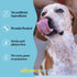 Hotspot Pets Bully Sticks 6 Inch - 10 Pack Premium Natural Long Lasting Beef Pizzle Treats for Medium Dogs