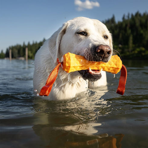 Hound2O Dog Chew Toys - Tug Stick, Orange - Tough, Engaging Chew Toys for Outdoor Play, Non-Toxic & Easy to Clean