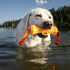 Hound2O Dog Chew Toys - Tug Stick, Orange - Tough, Engaging Chew Toys for Outdoor Play, Non-Toxic & Easy to Clean