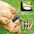 Dog Chew Toys for Aggressive Chewers, Non-Toxic Dental Pet Toy, Durable Indestructible for Small Medium Large Dogs