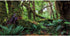 AWERT 24x16 inches Tropical Forest Terrarium Background, Huge Tree Reptile Habitat, Rainforest Durable Polyester