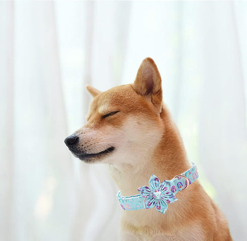 Dog Collar with Flower, Summer Fruit Adjustable Dog Flower Bow Collar for Medium Dogs, Cute Durable Pet Collar