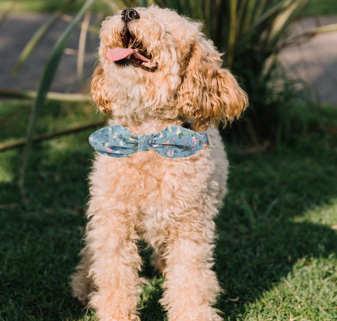 Dog Collar with Bowtie, Cotton Floral Bowtie Collars for Small Medium Puppy Female & Male Dogs, Wedding Holiday