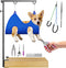 ALLPETS&CO Portable Foldable Dog Grooming Arm Kit: Adjustable 27"-40" with Heavy Duty Clamp
