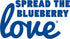 Showseason Blueberry-Coconut Pet Face Foam Cleanser for Dogs and Cats, 8.5 oz | Biodegradable, Non-Toxic, Easy Cleaning