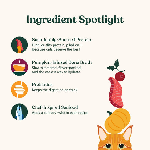 (3.0 oz (Pack 12), Made by Nacho Flaked Filets Recipe in Bone Broth, Grain-Free Chef's Selects Wet Food for Cats