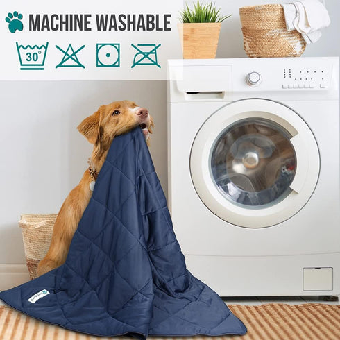 PetAmi Premium Cooling Dog Blanket, Lightweight Fluffy Pet Throw Bed Cover for Dogs, Reversible Fuzzy Cozy 40x60