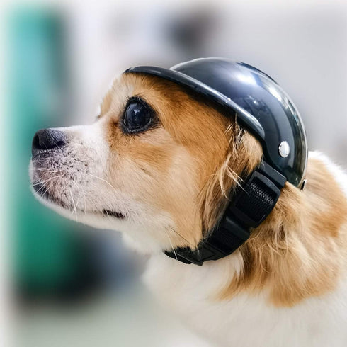 Dog Helmet, Pet Motorcycle Safety Cap for Biking, Small Doggie Puppy Helmet, Black