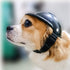 Dog Helmet, Pet Motorcycle Safety Cap for Biking, Small Doggie Puppy Helmet, Black