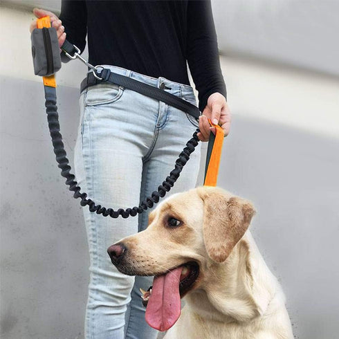 SLSON Pet Waste Bag Dispenser, Lightweight Zippered Pouch, Portable Dog Poop Bag Holder, Dark Grey