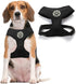 BINGPET Dog Vest Harness, Lightweight Breathable Sports Mesh, Adjustable for Small Dogs