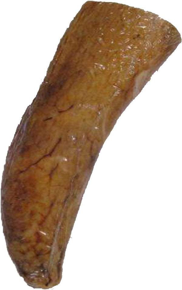 Qt Dog Buffalo Horn Core Chew (1 Each), Medium