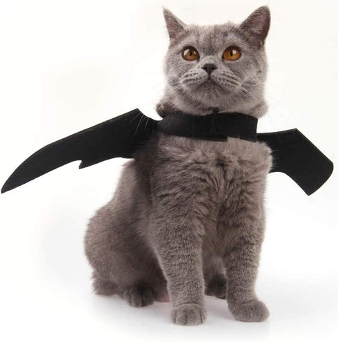 Cat Halloween Costume with Bat Wings, Pet Apparel for Halloween Party Dress Up for Cats and Small Dogs