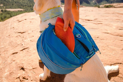 Ruffwear Camp Flyer Dog Toy, Lightweight Flexible Disc for Throw and Fetch, Red Sumac