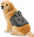 Cute Belly Bands for Male Dogs with 3D Ears, Washable Reusable Dog