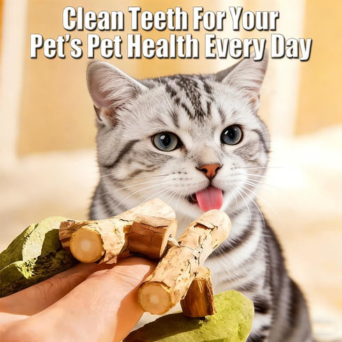 Eralivmart 3PCS Cat Dental Toys Health Chew Creative Fishbone Shape Teething with Catnip Fix Your Cats Health Natural