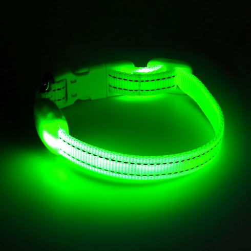 Light Up Dog Collar for Small Dogs - Vizpet XS Adjustable Nylon USB Rechargeable Safety Collar for Cats Dogs (Green)