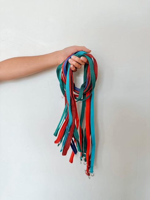 Midlee 4 Foot Dog Kennel Slip Lead - Heavy Duty Nylon Pack of 10