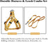 QQPETS Dog Harness Leash Set, Adjustable Heavy Duty No Pull Halter for Small Medium Large Dogs (XS, Yellow Bee)