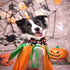 DOGWONG Halloween Black Ghost Dog Collar with Removable Bow Tie, Soft Comfy Adjustable Fall Pet Collar for Small Medium