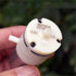 KLAWKKNI JQB2438 6V 370 Mini Air Pump Micro Diaphragm Vacuum Pump Negative Pressure Suction Pump DIY Breast Machine
