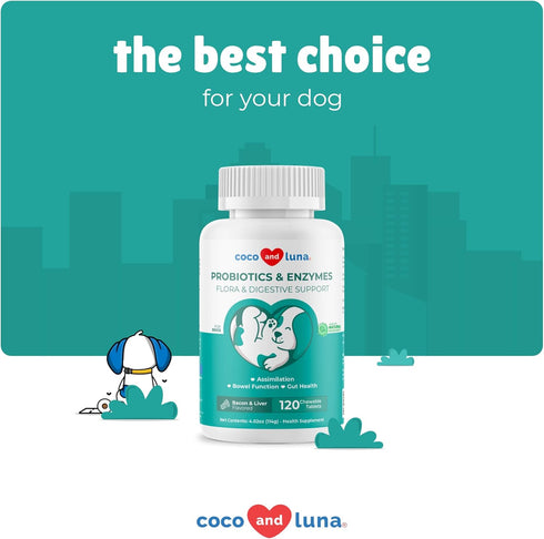 Probiotics for Dogs - 120 Chewable Tablets for Diarrhea & Gas Support, with Honey Pumpkin and Prebiotics