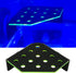 Magnetic Coral Frag Rack, Fluorescent Green Acrylic with 13 Holes, Safe Stable for Saltwater Aquarium and Fish Tanks