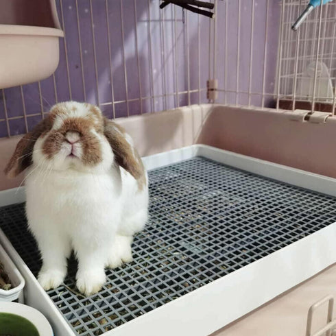 Petlex Rabbit Litter Box with Grate, Super Large Guinea Pig Litter Pan for Cage, Bunny Restroom Litter Tray Small