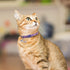 PUPTECK 3 Pack Cat Collar with Bells, Adjustable Breakaway Luminous Safety Collar for Small Kittens, Pink Black Purple