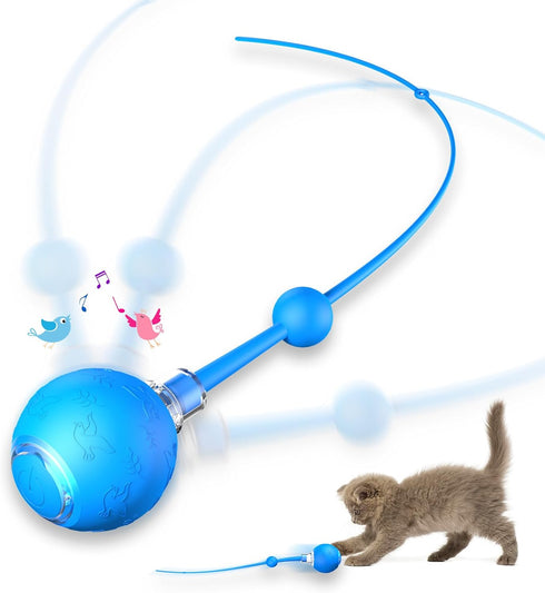 morhandisn Interactive Cat & Dog Toys for Indoor Pets, Automatic Electric Self Rotating