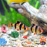 Micro Landscape Decor, 13PCS Fake Coral Ornament, Miniature Coral Figurines for Aquarium Tank