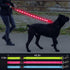 BSEEN LED Dog Leash, USB Rechargeable Light Up Leash for Nighttime Dog Walking (Pink?, 47 Inch)