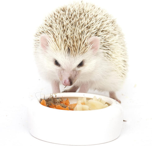 Hedgehog Treat Variety Pack - Healthy Natural Treat Assortment - Dried Mealworms, Dried Black Soldier Fly Larvae, Dried Crickets, Dried Apples & Carrots - Sampler Variety Value Package