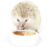 Hedgehog Treat Variety Pack - Healthy Natural Treat Assortment - Dried Mealworms, Dried Black Soldier Fly Larvae, Dried Crickets, Dried Apples & Carrots - Sampler Variety Value Package