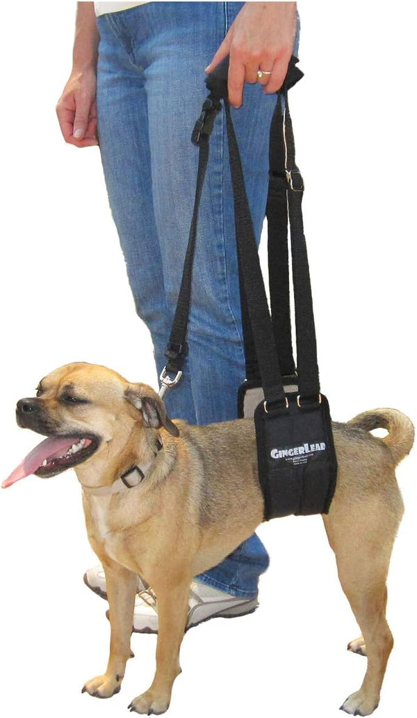 Dog Sling Support Harness, SM Female, Fits Small to Medium Pets, Padded Rear Lifting Aid with Leash